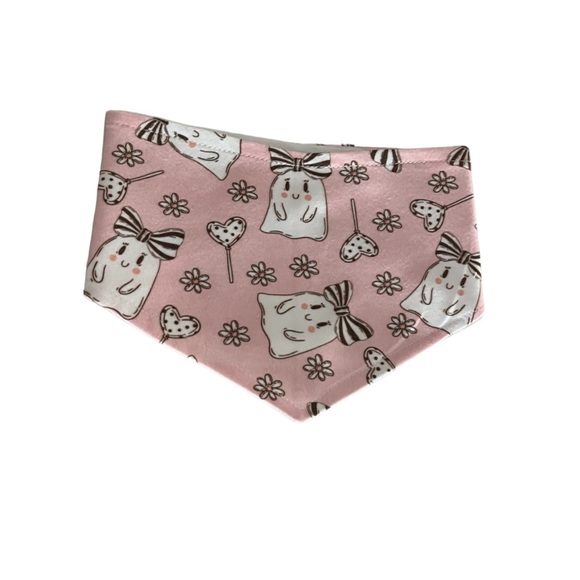 Fall collection - Picture 3 of 3